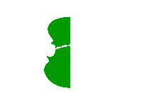 Bærum Symfoniorkester logo